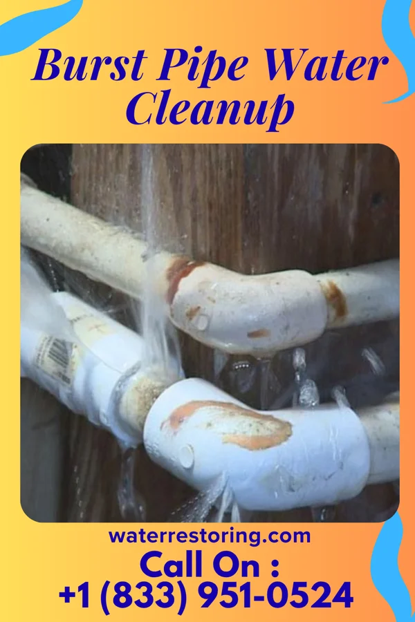 Burst Pipe Water Cleanup in Highland, OH