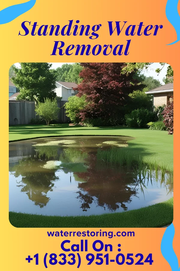 Standing Water Removal in Highland, OH